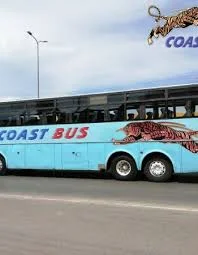 Coast Bus Nairobi Contact 