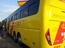 Princes Muro Bus Tanzania 