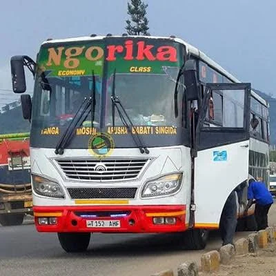 Ngorika Bus services